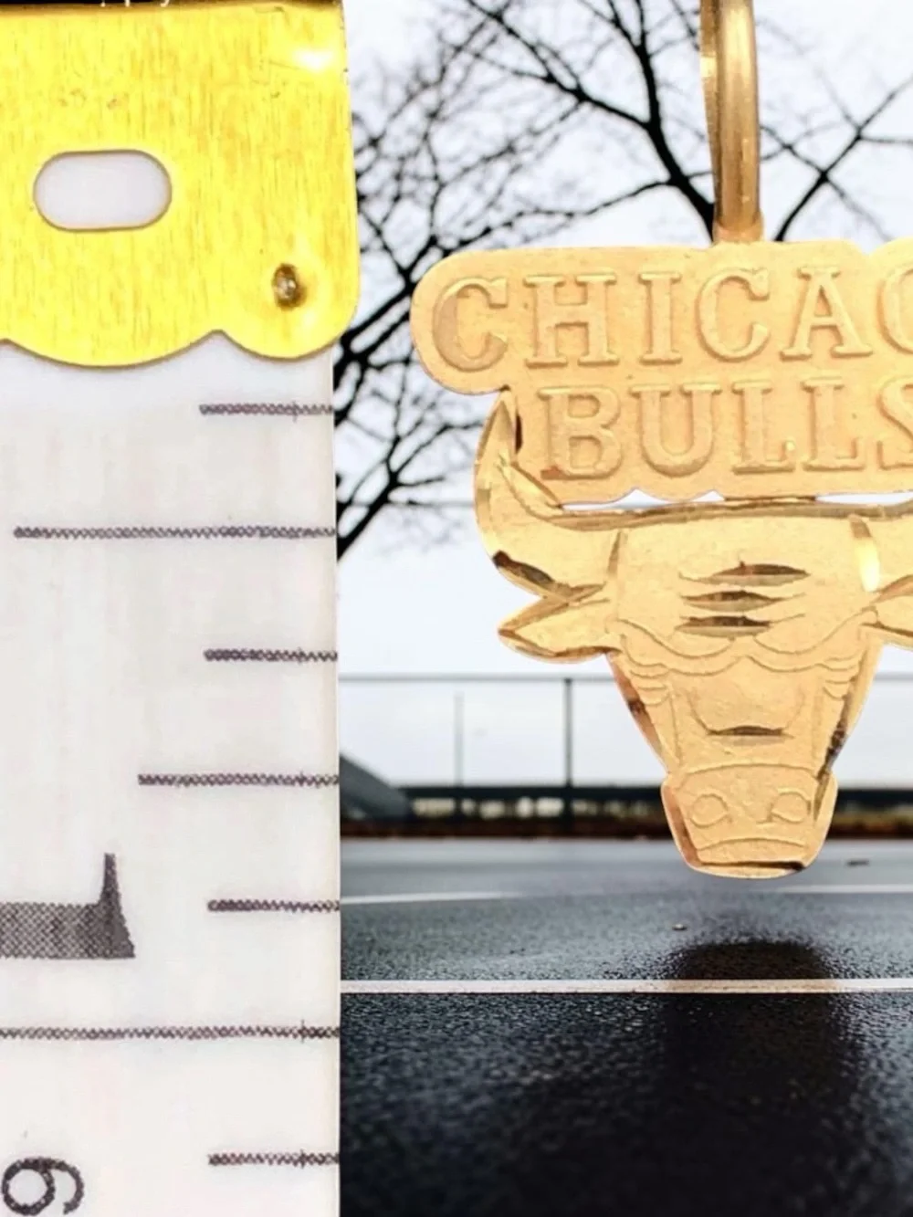 Vintage 1987 Michael Anthony 14K Gold Chicago Bulls NBA Pendant